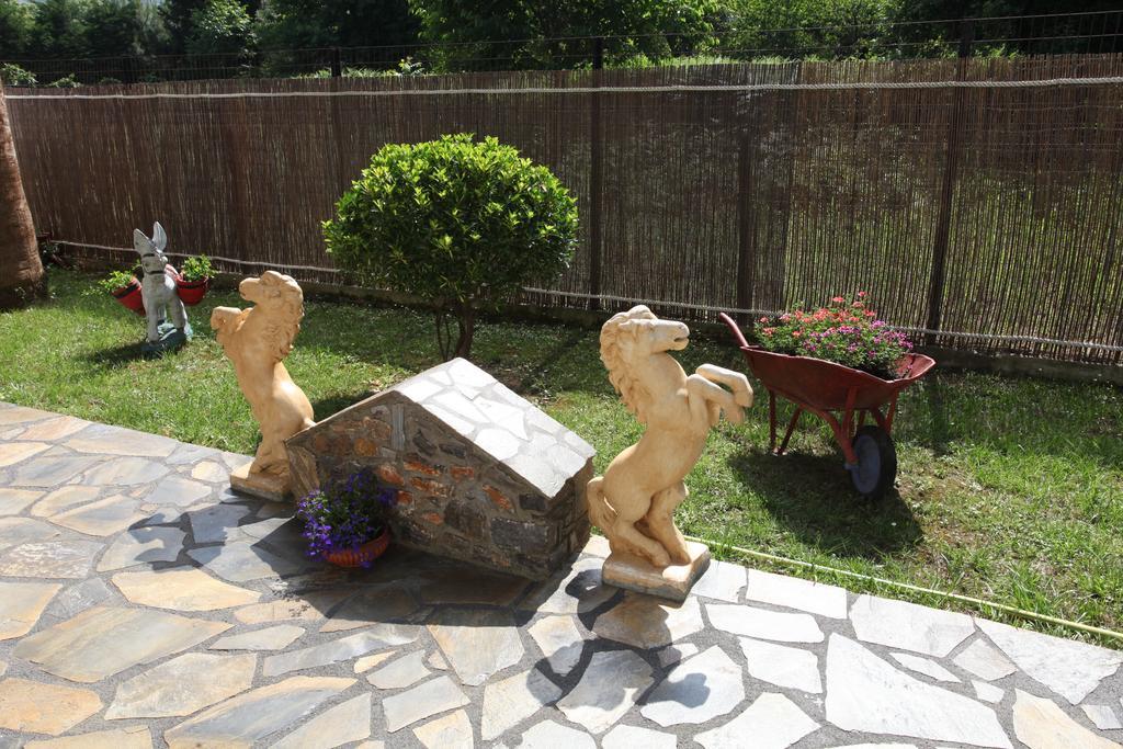 Apartmán Archontiko Driani Paralia Pantaleimonos Pokoj fotografie